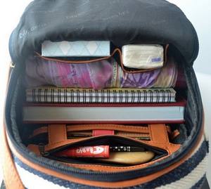 Hot Sale Striped Canvas Backpack for <strong>Teenage</strong> Girls Fashionable Zipper Closure Trendy <strong>Gift</strong> <strong>Idea</strong> - Product Image 3