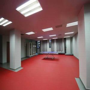 Revêtement <span class=keywords><strong>de</strong></span> sol sportif en PVC plastique vinyle pour terrains <span class=keywords><strong>de</strong></span> <span class=keywords><strong>tennis</strong></span> <span class=keywords><strong>de</strong></span> <span class=keywords><strong>table</strong></span> professionnels, utilisé lors des compétitions ITTF. - Product Image 6