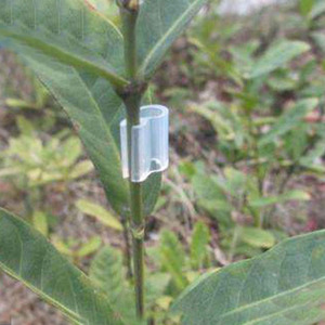 Petites plantes et tomate greffage <span class=keywords><strong>clips</strong></span> - Product Image 1