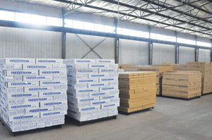 Khung Kim Loại Trần Chất Lượng Cao/Thanh Chữ T Linh Kiện Lưới Trần/Trần Mạ Kẽm - Product Image 5