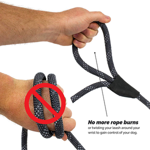 Correa de Nailon Inspirada en el Escalismo para Perros de Razas Medianas/Grandes, Doble Asa de Control, Costuras Reflectantes, Cintas Personalizadas - Product Image 3
