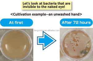 Divertido bacterias experimento kit niños ciencia conjunto - Product Image 3