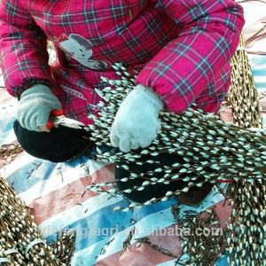 Flores frescas de sauce para el Año Nuevo, gran oferta, flores frescas preservadas - Product Image 5