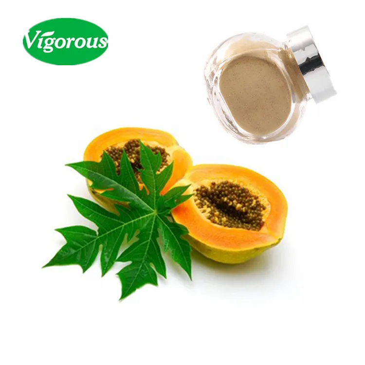 GMP Kosher Halal natural papaya leaf extract/ papaya leaf powder
