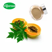 Kosher-extracto orgánico de hojas de papaya natural, polvo de hojas de papaya
