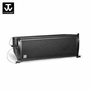 Dual 6 Inch Line Array Luidspreker