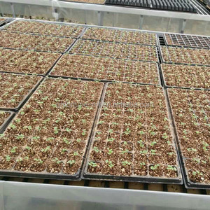 Casera sistema hidropónico de cultivo hidropónico de - Product Image 6