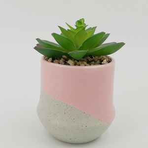 De alta calidad de tamaño de cerámica vidriada <span class=keywords><strong>cactus</strong></span> suculentas maceta de flores para decoración de escritorio - Product Image 3