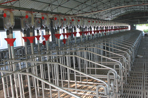 <strong>Automatic</strong> Pig Farming Equipment Pig <strong>Feeder</strong> - Product Image 4