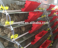 Cage pour animaux pour caille Type A équipement d'alimentation automatique