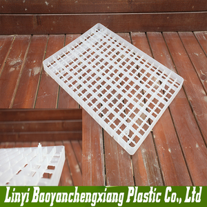 <span class=keywords><strong>221</strong></span>หลุมพลาสติกถาดไข่นกกระทา,ลังไข่ - Product Image 6