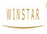 Shenzhen Winstar Electronic Co.,ltd. logo