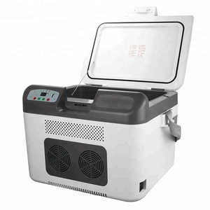 12V 24V Portable Car Battery Powered Operated <strong>Mini</strong> Fridge <strong>Mini</strong> <strong>Cooler</strong> - Product Image 1