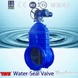 <span class=keywords><strong>DN300</strong></span> Đàn Hồi Ngồi Ống Van Cổng Cho Công Trình Nước - Product Image 2