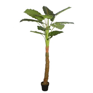 บอนไซประดิษฐ์สำหรับตกแต่งโรงแรม,ต้นอะโลคาเซีย <span class=keywords><strong>Macrorrhizos</strong></span> ขนาด2.1เมตรเหมือนจริง - Product Image 6