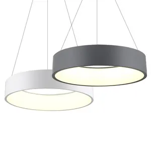 Moderne Warm Wit En Natuurlijk Wit Acryl Materiaal Dimbare Led Hanglamp