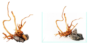 Gros <span class=keywords><strong>aquarium</strong></span> <span class=keywords><strong>bois</strong></span> flotté naturel - Product Image 4