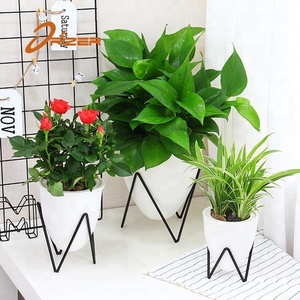 De diseño nuevo de moda decoración del jardín de las plantas de riego macetas bruja Marco de hierro - Product Image 2
