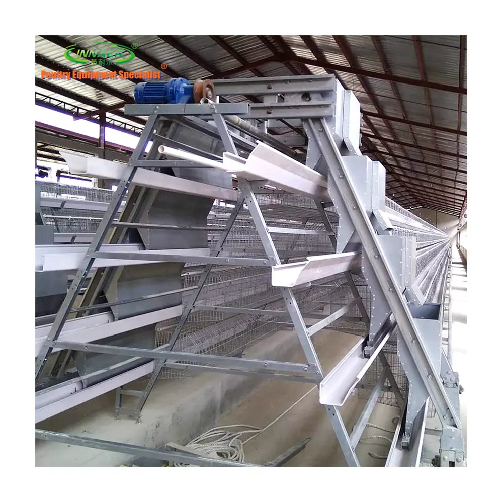 hot dipped galvanized complete battery cage with steel frame