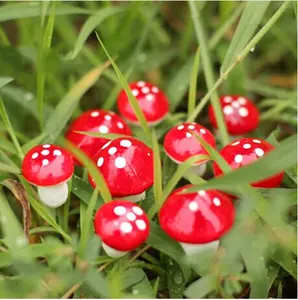 2 cm Artificiale Mini Mushroom Miniature Fairy Garden Moss Terrario Mestieri Della Resina Decorazioni Stakes Craft Per La Casa