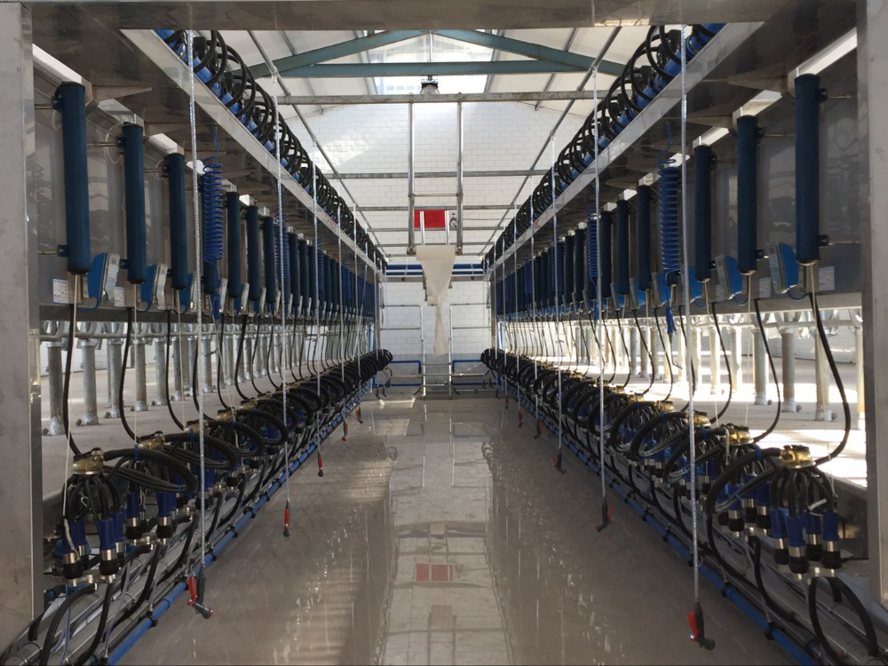 Параллельная молочная система Afimilk