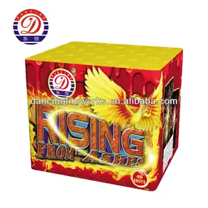 chinese fireworks cake with CE