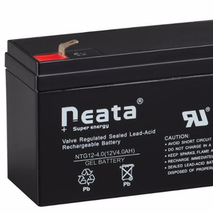 <span class=keywords><strong>Batterie</strong></span> standard rechargeable NEATA <span class=keywords><strong>12</strong></span> <span class=keywords><strong>volts</strong></span> 4 <span class=keywords><strong>ampères</strong></span> pour équipement de sécurité - Product Image 2