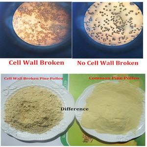 สารสกัดจากเกสรสนขายดี ผงเกสรสนจีนที่ผนังเซลล์แตก - Product Image 2