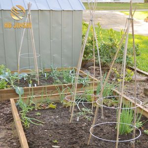 <span class=keywords><strong>54</strong></span> "x 16" Résistante de Fil Soudé Jardin Cage à Tomates - Product Image 4