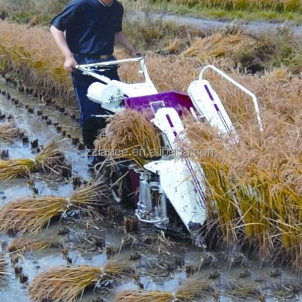 Gran oferta, mini segadora, cosechadora de arroz