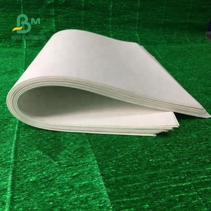 Papier spécial blanc double face <span class=keywords><strong>enduit</strong></span> <span class=keywords><strong>de</strong></span> kaolin, imperméable et indéchirable, 120 g/m² 216 g/m², pour impression offset et utilisation cartographique - Product Image 1