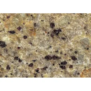 Brazilian Gold Giallo Colors Price Ornamental Granite