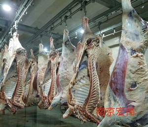 Sistema de Rieles para Carne de Carnicería, <span class=keywords><strong>Metzger</strong></span> Fleisch Schienen Haken - Product Image 3