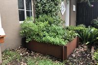 Penanam Biji Taman Dekoratif Ditinggikan Tempat Tidur Taman Baja Corten