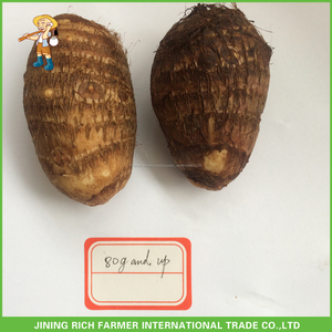 Chinois En Gros Prix Frais Communs Fidji <span class=keywords><strong>Taro</strong></span> - Product Image 2