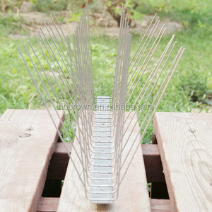 Pointes de dissuasion pour pigeons de 1m de long Pointes <span class=keywords><strong>anti</strong></span>-oiseaux à souder en acier inoxydable pour le contrôle des oiseaux - Product Image 3