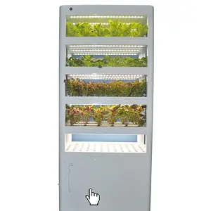 Caja de cultivo hidropónico con control inteligente, torre vertical para jardín, sistemas de cultivo hidropónico a la venta