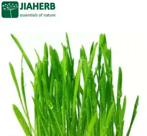 JIAHERB 18 Years 6 Factories Offer 100% Pure Natural Plant Extract Wheat Juice Powder Triticum aestivum Water Soluble