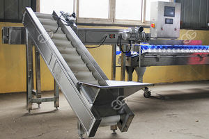 Fruit Kalibratie Machine Groente-en Sorteren Machine - Product Image 2