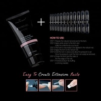 Fengshangmei Gel Polish Factory Oem & odm Extension powdergel