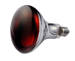 Wholesale 250 Watt IR R125 Chinese Red Infrared Heating <strong>Lamp</strong> for <strong>Dogs</strong> - Product Image 3