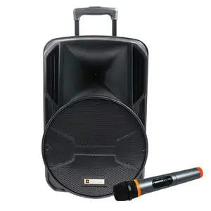 Great and powerful sound! PT-1265A 12" Woofer New design portable trolley wireless active bluetooth,usb speaker with microphone