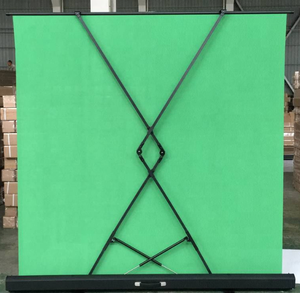 <strong>Green</strong> Floor <strong>Screen</strong> (double-point Support) - Product Image 1