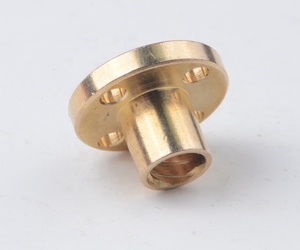 T20x4 T20x8 20毫米螺纹丝杠4毫米8毫米304不锈钢丝杠带黄铜螺母 - Product Image 6