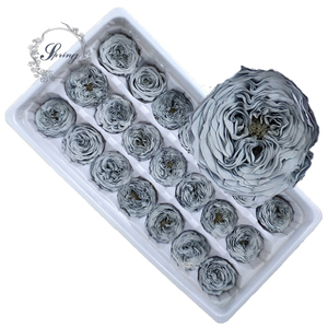 Suministro de fábrica de alta calidad 2-3 cm conservado Austin <span class=keywords><strong>mini</strong></span> Rose para caja de <span class=keywords><strong>rosas</strong></span>, cúpula de cristal de <span class=keywords><strong>rosas</strong></span> - Product Image 1