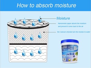 Moule en carton argenté au Calcium naturelle, recharge <span class=keywords><strong>d</strong></span>'humidité, éliminateur <span class=keywords><strong>d</strong></span>'odeurs, solide, boîte sèche - Product Image 3