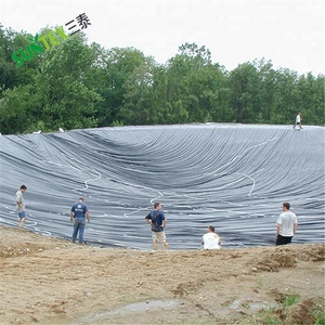 190gsm Noir résistant à l'eau membrane rpe revêtement d'étang fiche 7*10m, pisciculture tissé jardin piscine polyéthylène renforcé couverture - Product Image 6