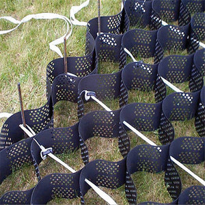 Đường Lái Xe Geocell - Product Image 5