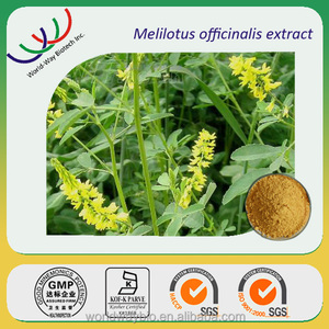Sweet Clover Extract Coumarin High Quality Melilotus Officinalis Extract Coumarin <strong>Powder</strong> - Product Image 3