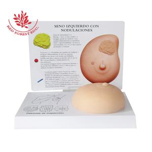환자 교육용 부드러운 실리콘 유방 검사 해부학 모형 - Product Image 1